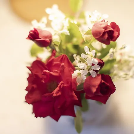 Apartman 1 By Interhome