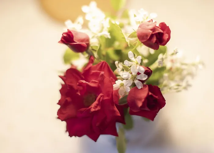 Apartmán 1 By Interhome